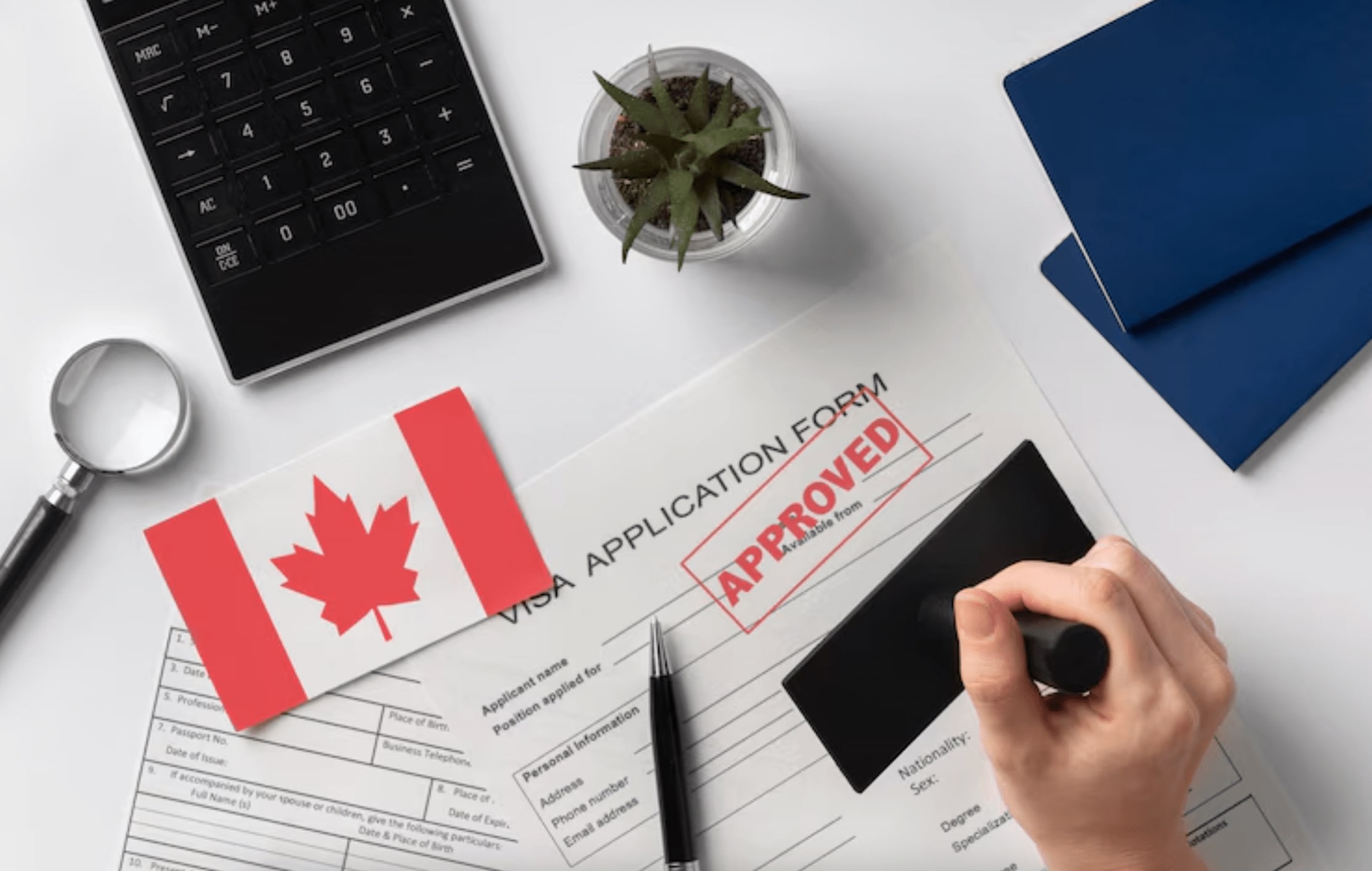 Reverse Mortgages and the Toronto Housing Market